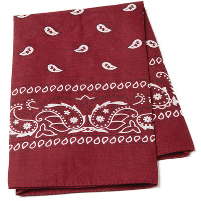 Paisley Bandana Scarf