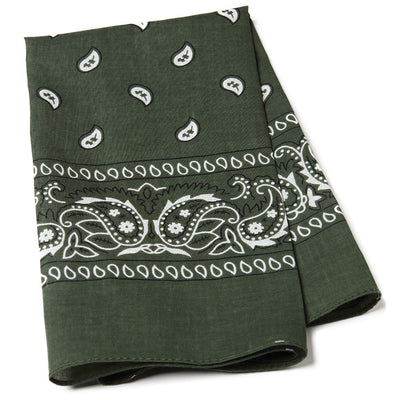 Paisley Bandana Scarf