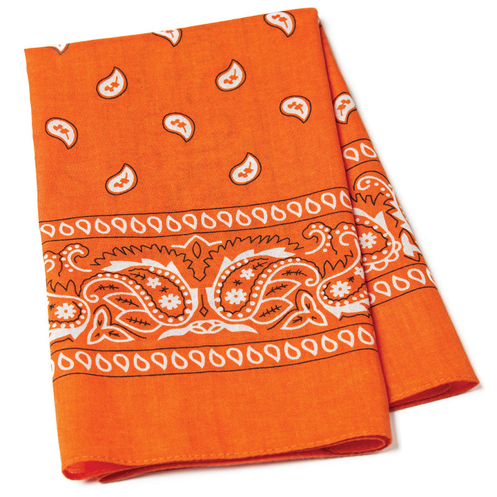 Paisley Bandana Scarf