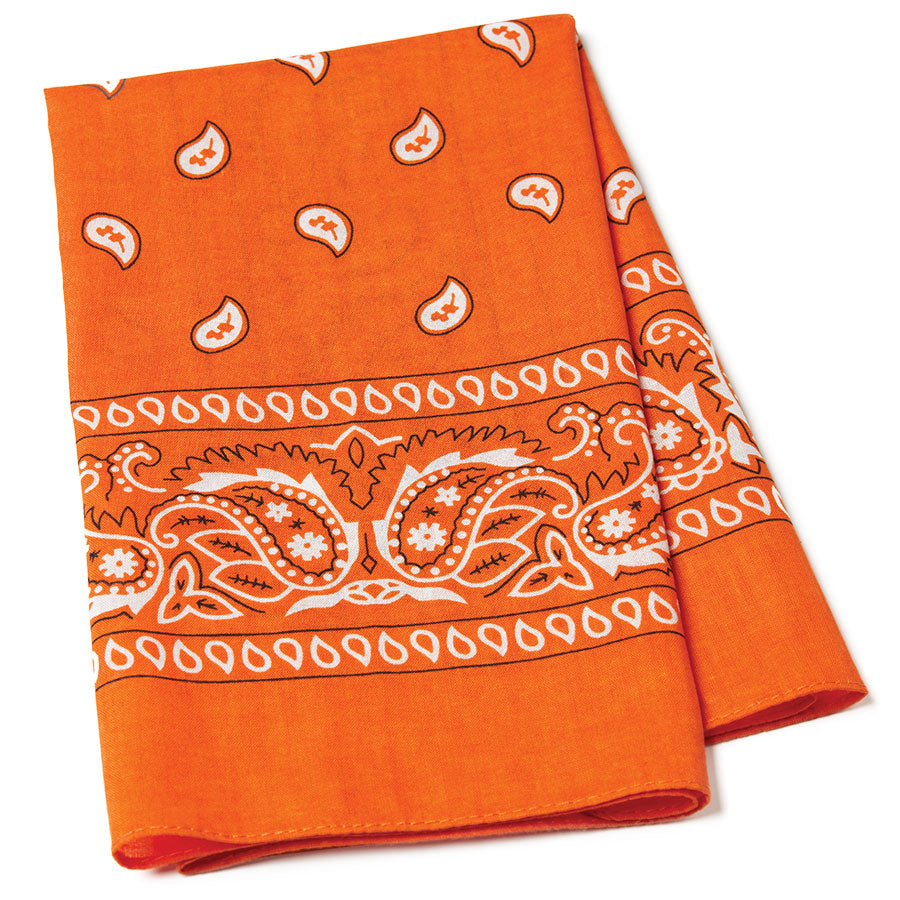Paisley Bandana Scarf