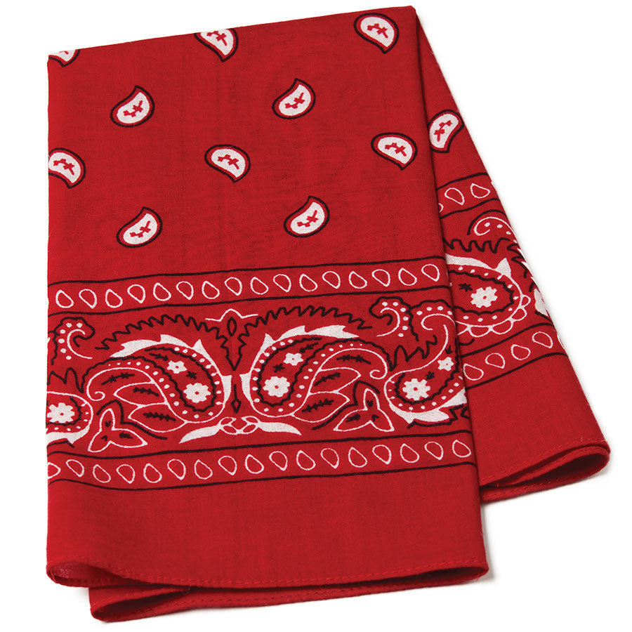 Paisley Bandana Scarf