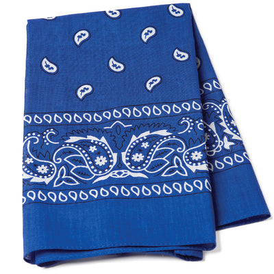 Paisley Bandana Scarf