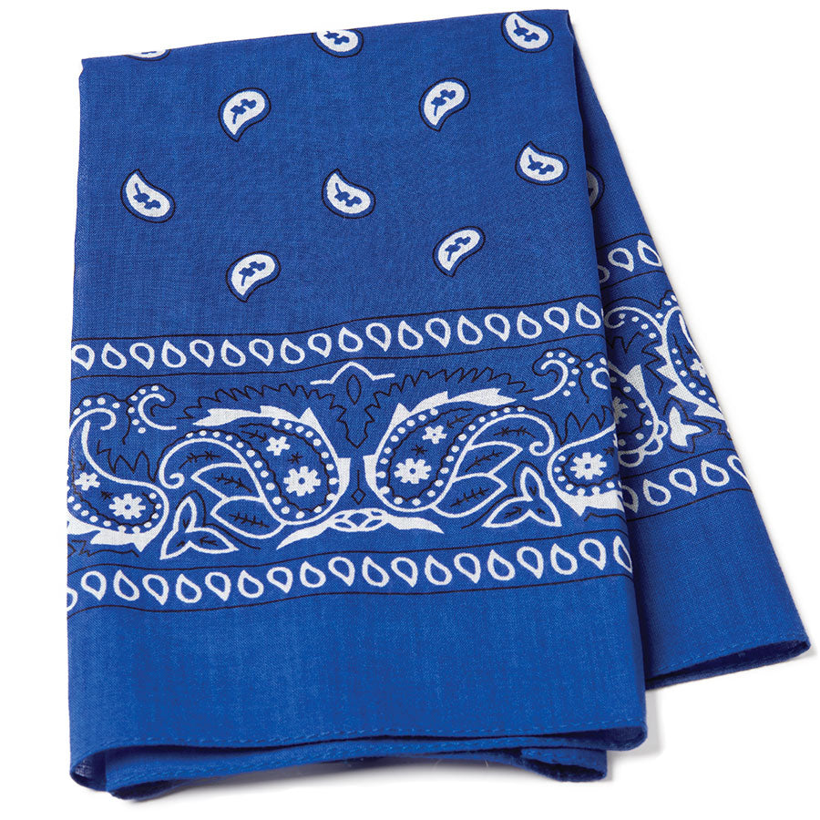 Paisley Bandana Scarf