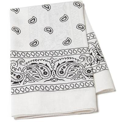 Paisley Bandana Scarf
