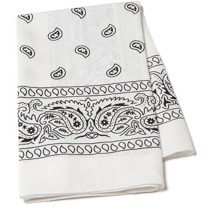 Paisley Bandana Scarf