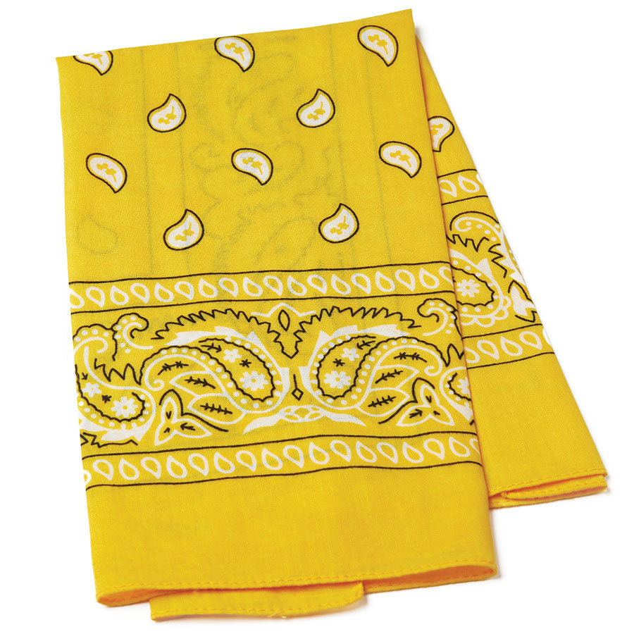 Paisley Bandana Scarf